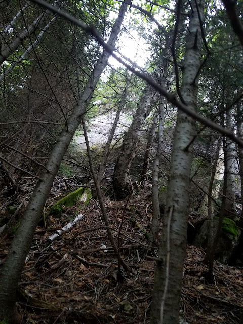 A successful bushwhack to a back-country crag known as The Captain, deeply nestled between South Hancock, Mount Carrigain, and Sawyer River. 