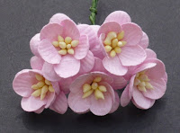 https://cherrycraft.pl/pl/p/Kwiat-wisni-JASNOROZOWE-5-szt.-Wild-Orchid-Crafts-/2262