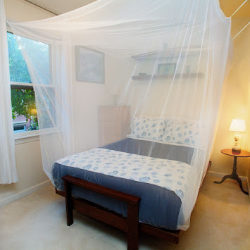 How Much Is A Mosquito Net With Bed Bug Repellent In Nigeria Now?