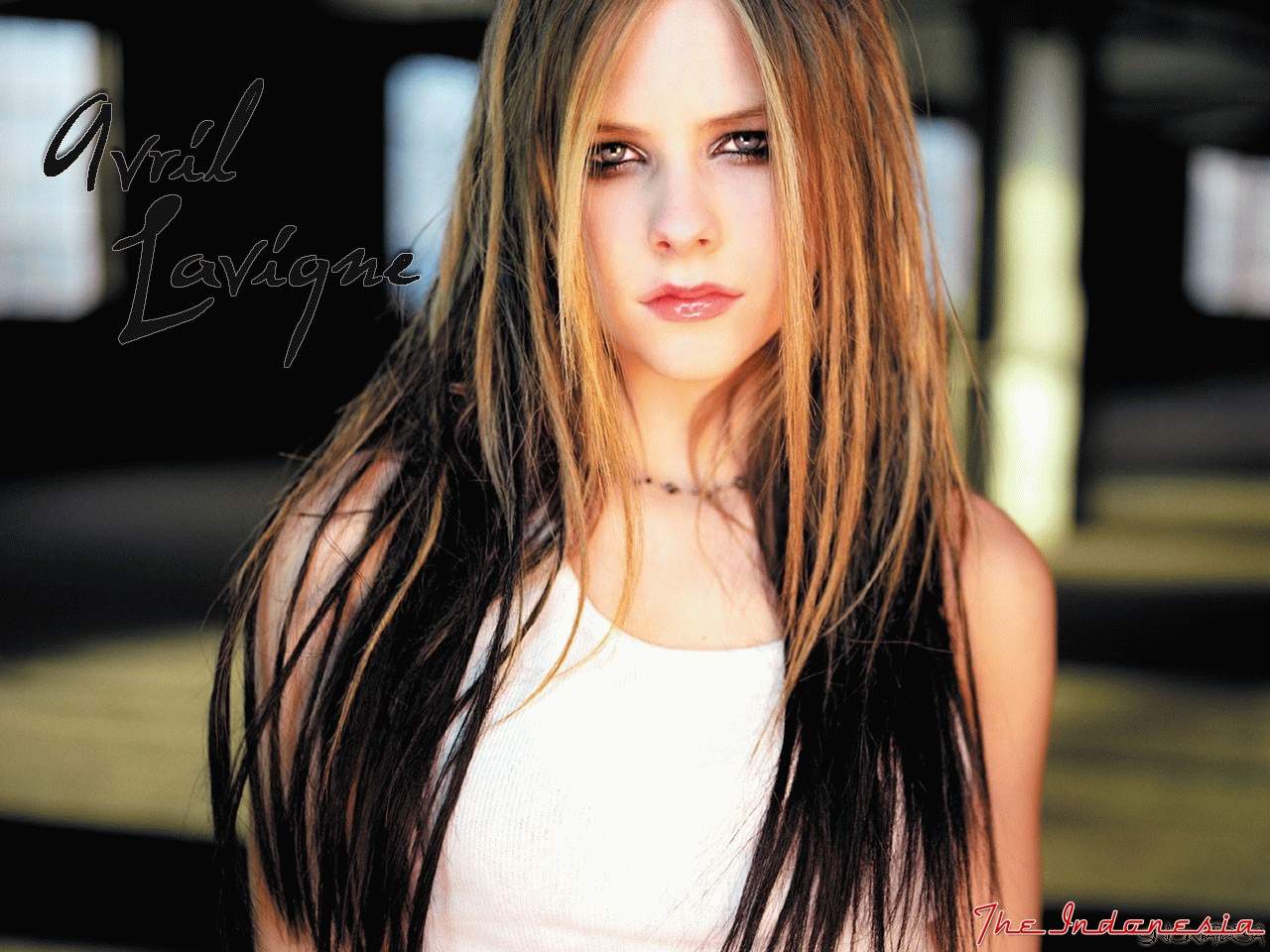 Social Wallpaper: Wallpaper Avril Lavigne