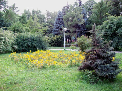 Парк на Владимирской горке