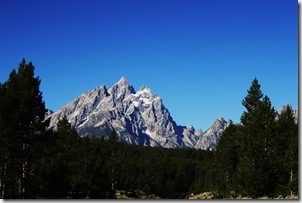 CanYNP 135