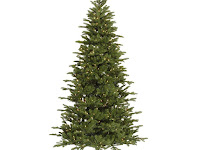 Vickerman 19043 - 8.5' x 54" Maine Balsam Fir 700 Clear Lights Christmas Tree (E104181)