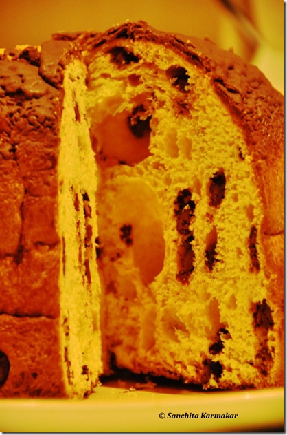 SPC_376