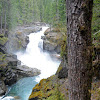 Silver Falls State Park Weather / 5 Silver Falls Adventures That Don T Include Waterfalls : Sunny, with a high near 90.