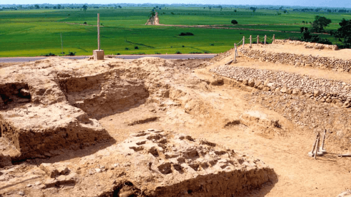 zona arqueologica cabeza de vaca