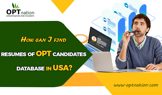 opt candidates database in usa