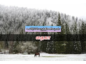 தைகா/ ஊசியிலைக்காடுகள் (Taiga)
