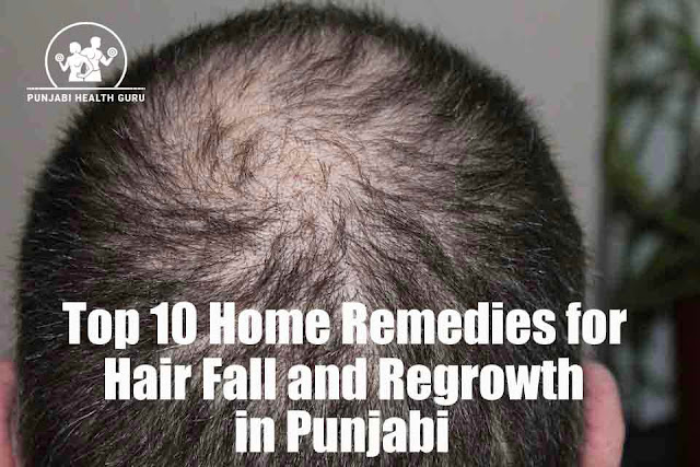 Top 10 Home Remedies for Hair Fall and Regrowth in Punjabi