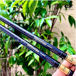 Cần Lure Daiwa Sweepfire | 2 Khúc
