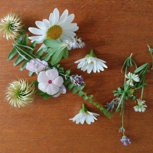 fresh picked flowers, herbs and leaves