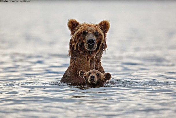 25 Amazing Pictures Of Wild Animals And Their Babies