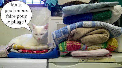 Un chat blanc et une pile de linge.