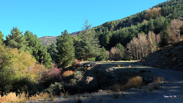 Barranco el sabinar, Sierra Nevada