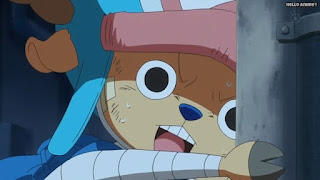 ワンピースアニメ パンクハザード編 602話 チョッパー 手紙 Tony Tony Chopper | ONE PIECE Episode 602