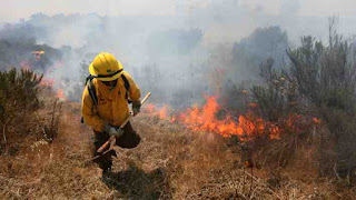 9 incendios forestales activos en la región de La Araucanía: Ercilla y Collipulli con Alerta Roja