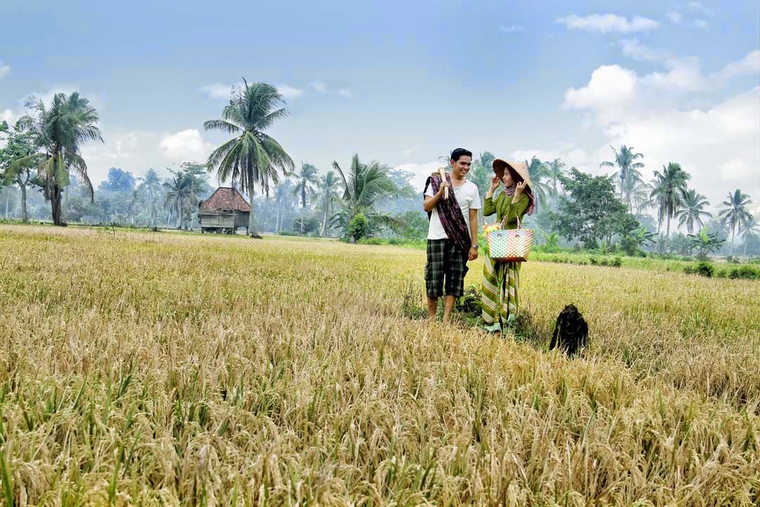 Info mengenai Foto Prewedding Outdoor  Healthy Live 