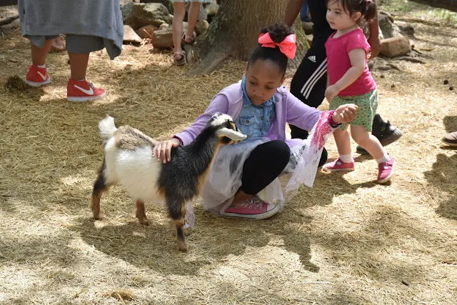 Georgia Renaissance Festival Revisited 2018  via  www.productreviewmom.com