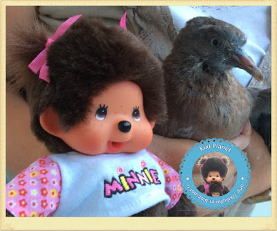 Diana la Monchhichi et Colombine le bébé pigeon - oisillon -pigeonneau - oiseau - gavage