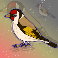 Escape The Goldfinch