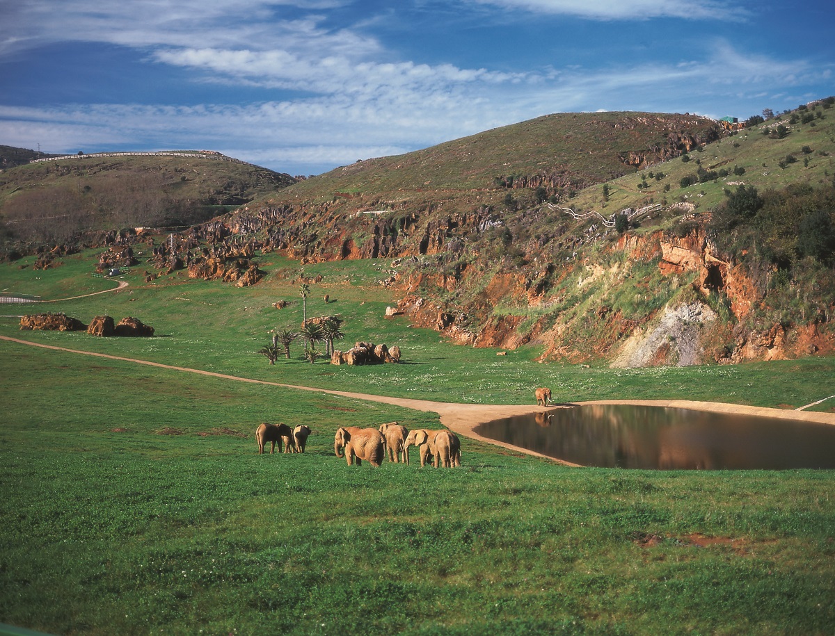 Cantabria parco naturale Cabárceno