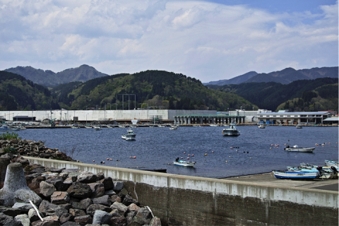 japan sea wall