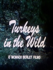 Turkeys In The Wild 1992 streaming gratuit Sans Compte  en franÃ§ais