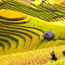 Tour Du Lịch Sapa- Bắc Hà- Hà Giang 5 Ngày 4 Đêm