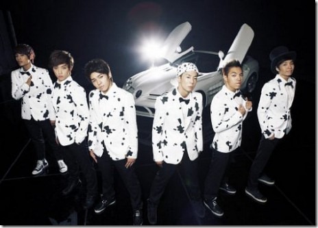 100831_dalmatianround1_1