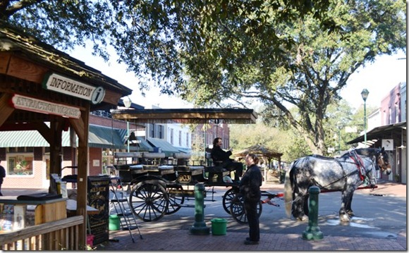 Savannah Horse Tour - Copy