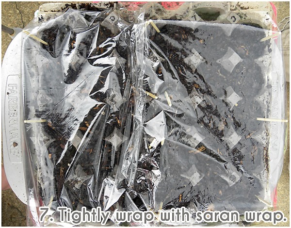 egg carton veggies 6 - life as their mom