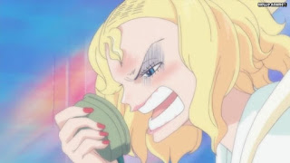 ワンピースアニメ 魚人島編 544話 オトヒメ王妃 Otohime | ONE PIECE Episode 544