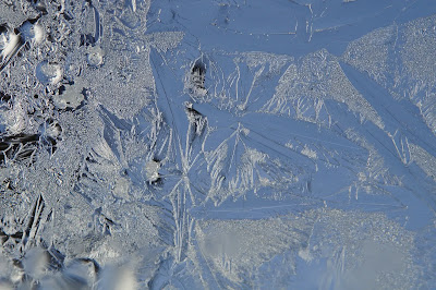 Winter-Proofing Your Home