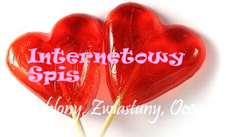 http://internetowy-spis.blogspot.com