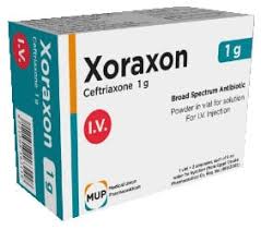 سعر و دواعي إستعمال حقن زوراكسون فيال Xoraxon مضاد حيوى