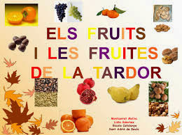 http://clic.xtec.cat/db/jclicApplet.jsp?project=http://clic.xtec.cat/projects/tardor6/jclic/tardor6.jclic.zip&lang=ca&title=Els+fruits+de+la+tardor