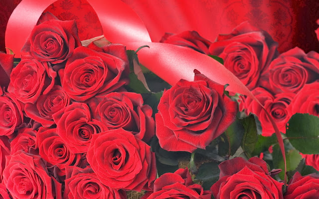 hermosas rosas rojas con hojas verdosas