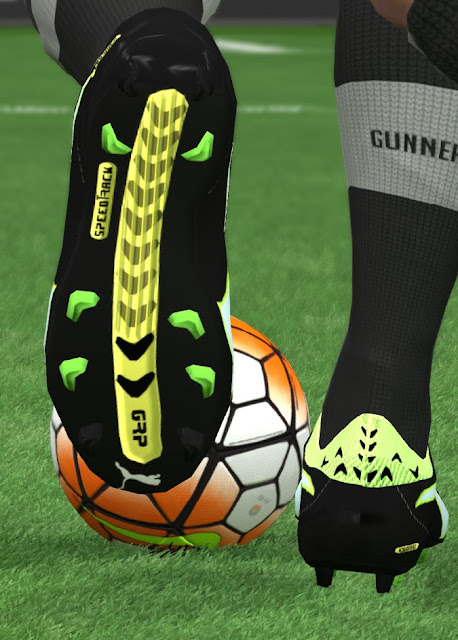 Totally New Puma evoTOUCH 2016-2017 Boots