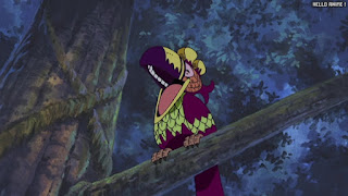 ワンピース アニメ 150話 サウスバード | ONE PIECE Episode 150