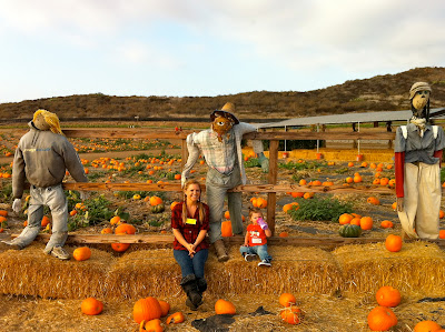 Pumpkin Patch at Tanaka Farms, Irvine California www.thebrighterwriter.blogspot.com