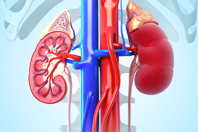 how long to pass kidney stone