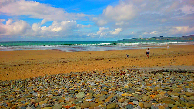 windsurfing kerry beach wetsuit