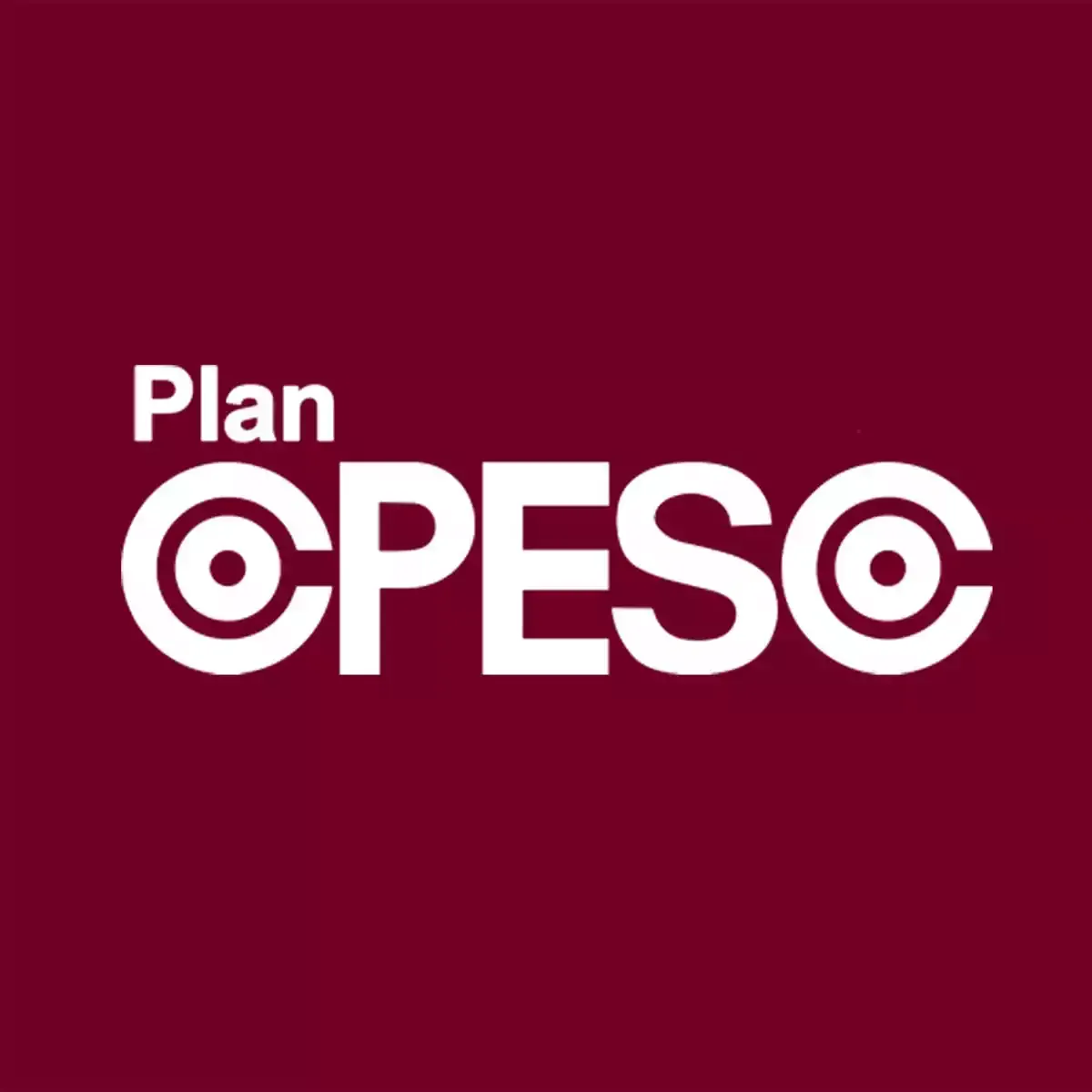 Proyecto Plan Copesco Cusco