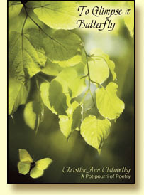 To Glimpse a Butterfly - Christine Ann Clatworthy