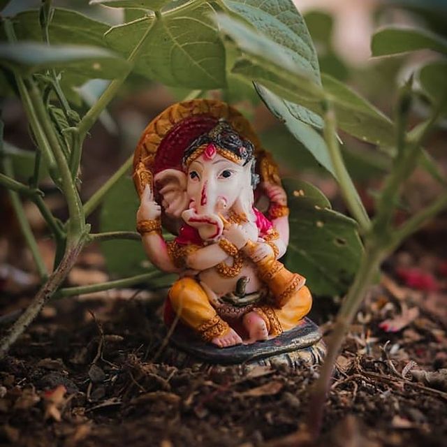 Small Ganpati Image