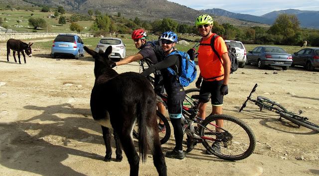 AlfonsoyAmigos - Rutas MTB