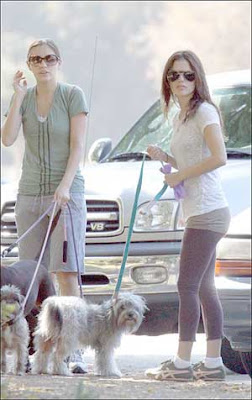 Rachel Bilson Dog Walking Pictures