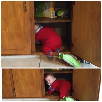 Henry in the Cupboard