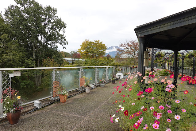 鳥取県西伯郡南部町鶴田　とっとり花回廊　プロムナード橋