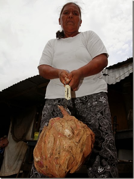 Curiosidades en Bolivia